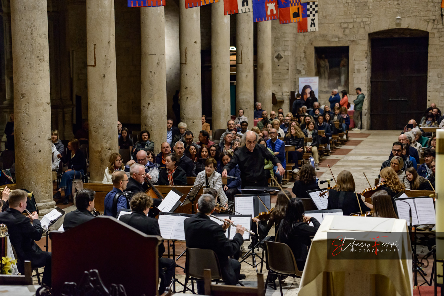 concertino symphony orchestra 10 anni